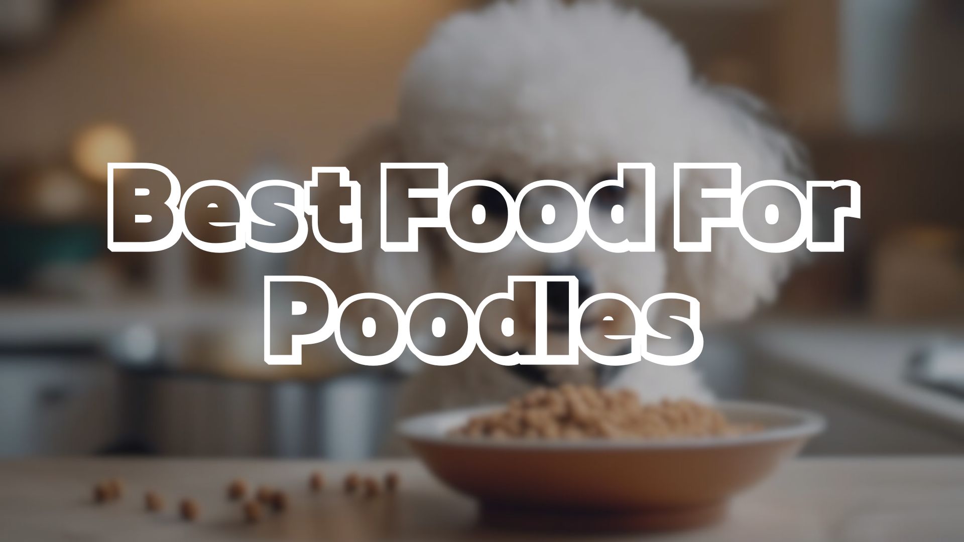 Best Food For Poodles